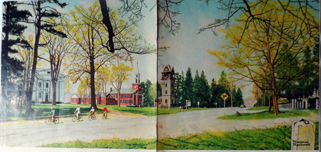 Illustrations Magazines