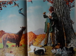 Illustrations Magazines